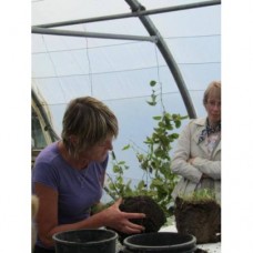 Make a Garden Anywhere with Ingrid Foley - Saturday 22nd April 2023